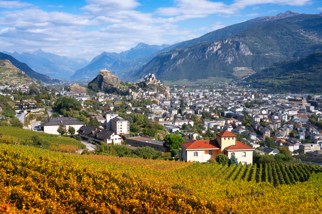 Vue sur Sion et les vignobles, un cadre emblématique pour un achat immobilier en Valais